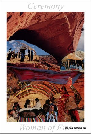 Nature Tarot by Jan Strube